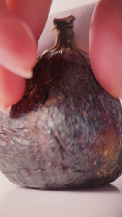 Lesk na rty "Lipss Fig"